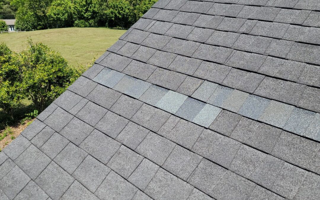 What Homeowners Should Know About Shingle Roof Repairs